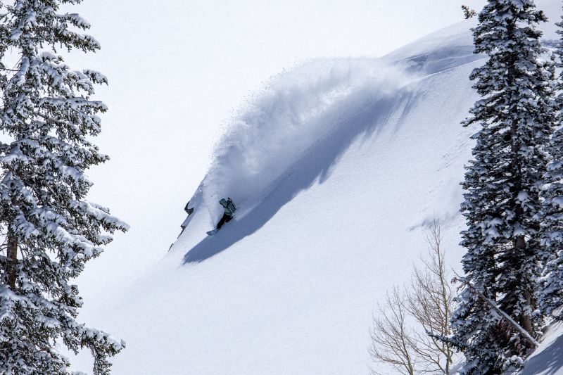 Nitro Sustainability