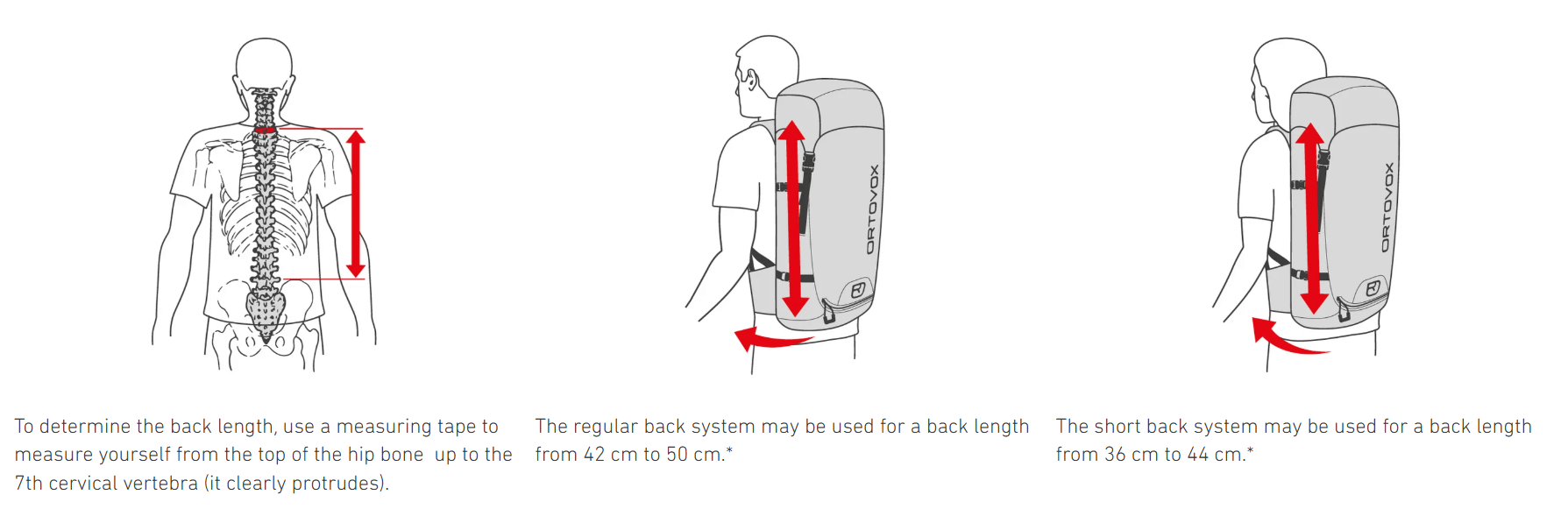 To determine the back length, use a measuring tape to measure yourself from the top of the hip bone  up to the 7th cervical vertebra (it clearly protrudes). The regular back system may be used for a back length from 42 cm to 50 cm.The regular back system may be used for a back length from 42 cm to 50 cm.*  The short back system may be used for a back length from 36 cm to 44 cm.*