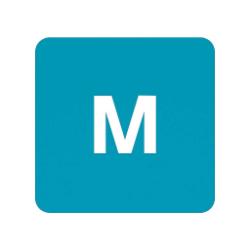 Men's M