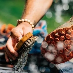 Footwear Accessories