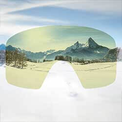 Polarised