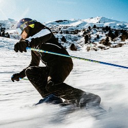 Ski Poles