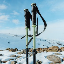 Ski Poles