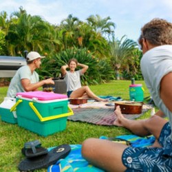 Picnics & Coolboxes