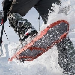 Snowshoes